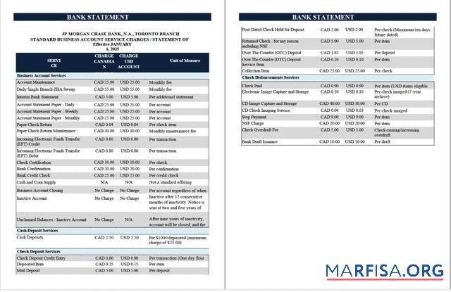 Printable USA JPMorgan Chase bank statement word 2 pages template